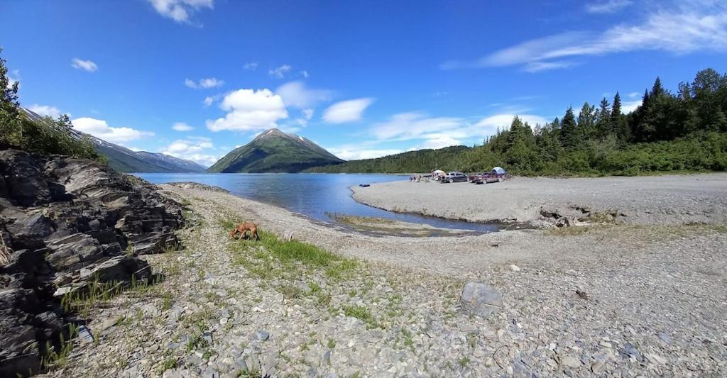 Oyster Lady Homer, Ak Exterior foto